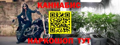 шишки Моздок