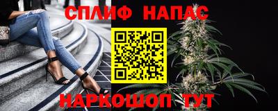 шишки Моздок
